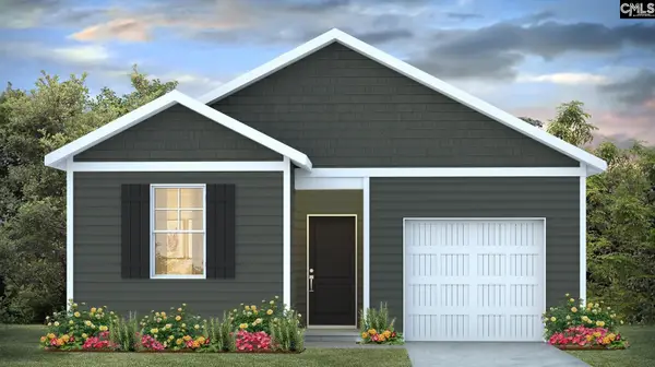 905 Snowflake Way, Lexington, SC 29072