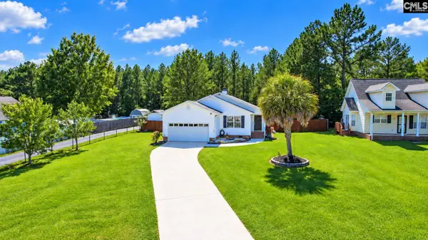 539 Old Bush River Road, Chapin, SC 29036