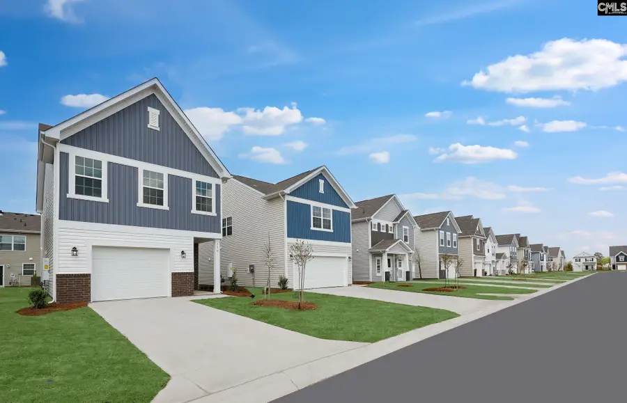 1115 Swindon Avenue, Gilbert, SC 29054 - #3