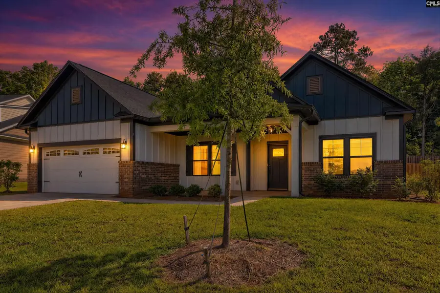 256 Murray Falls Lane, Chapin, SC 29036 - #2