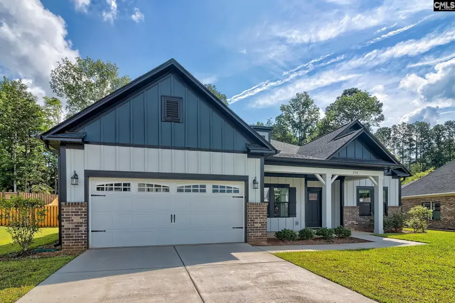 256 Murray Falls Lane, Chapin, SC 29036 - #3