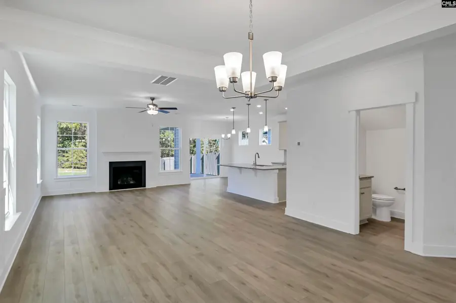 639 Thunder Gulch Avenue, Lexington, SC 29073 - #3