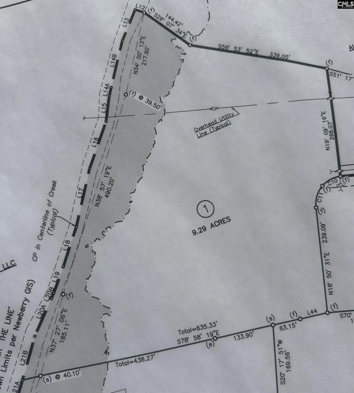 000 Crims Creek Trail, Pomaria, SC 29126 - #1