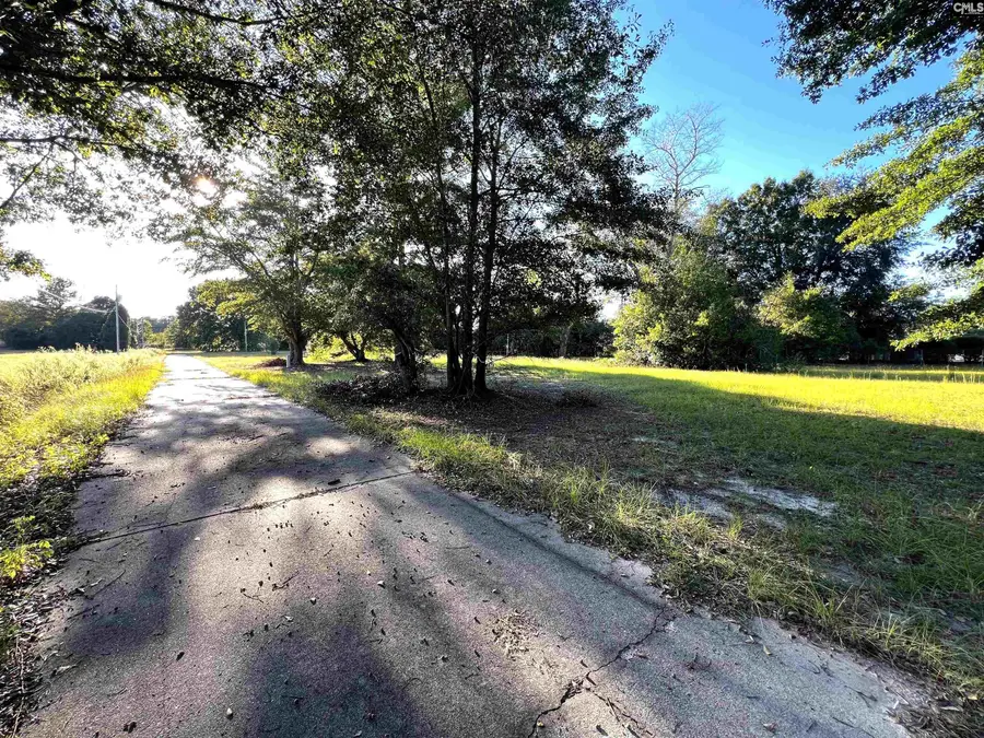301 Blue Sky Drive, West Columbia, SC 29172 - #3
