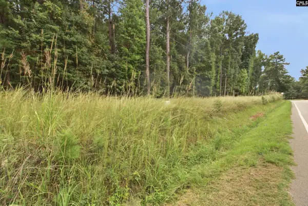 Tract A 215 Road, Jenkinsville, SC 29065