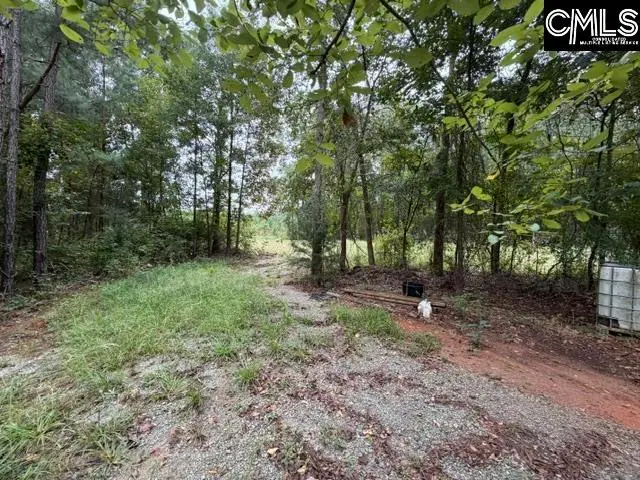 5485 Deadfall Road, Silverstreet, SC 29145 - #3