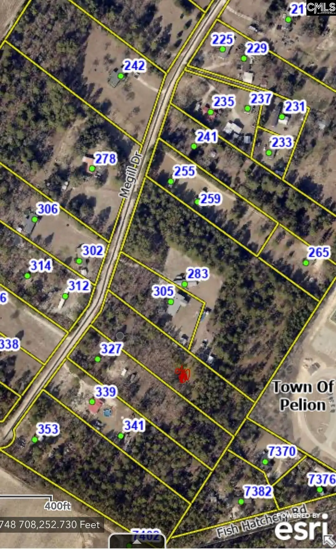315 Megill Drive, Pelion, SC 29123 - #1