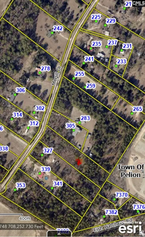 315 Megill Drive, Pelion, SC 29123