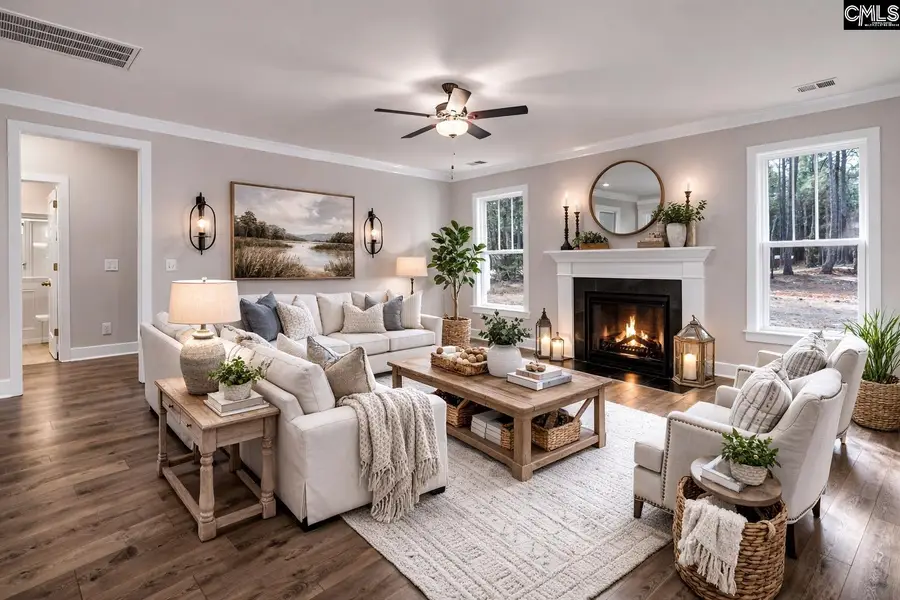 119 Greengarden Drive, Chapin, SC 29036 - #3