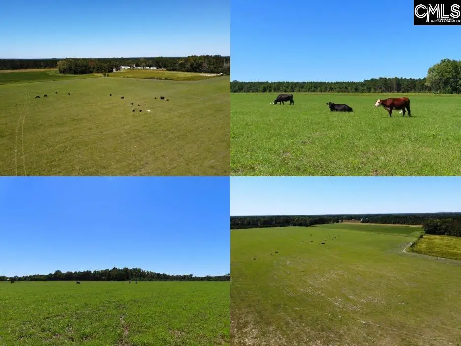 0 Tema Road, Hartsville, SC 29550 - #1