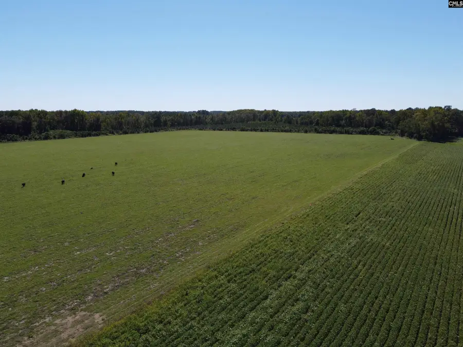 0 Tema Road, Hartsville, SC 29550 - #3