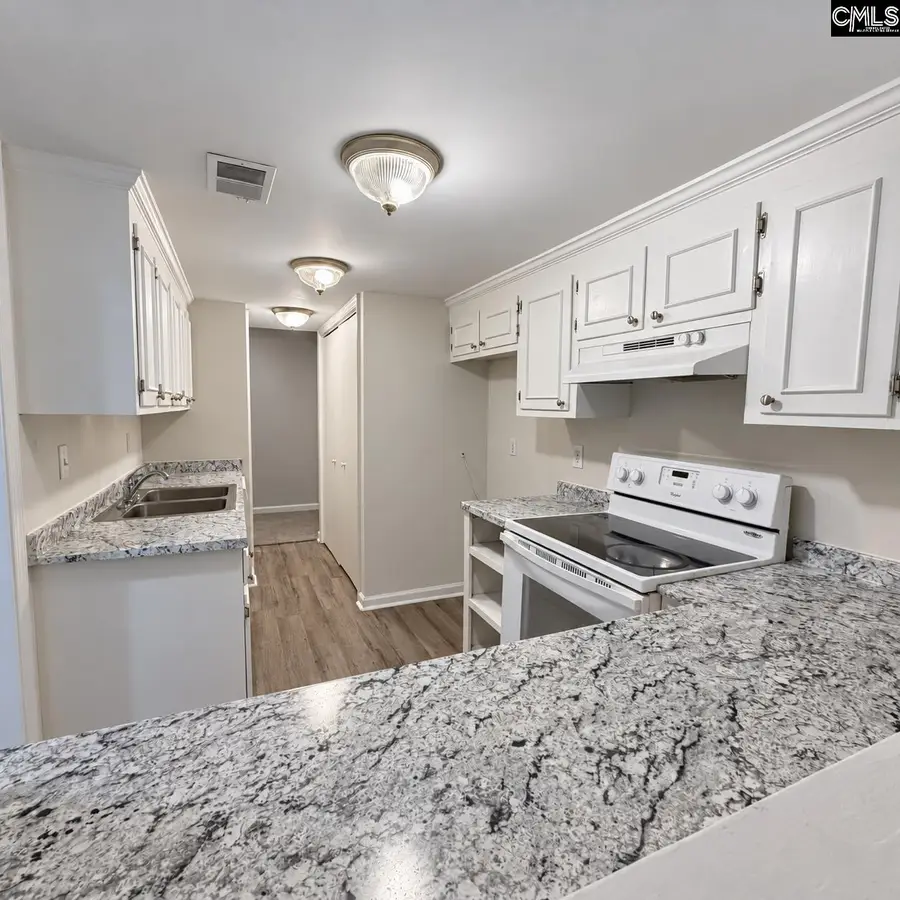 167 Lionsgate Drive, Columbia, SC 29223 - #3