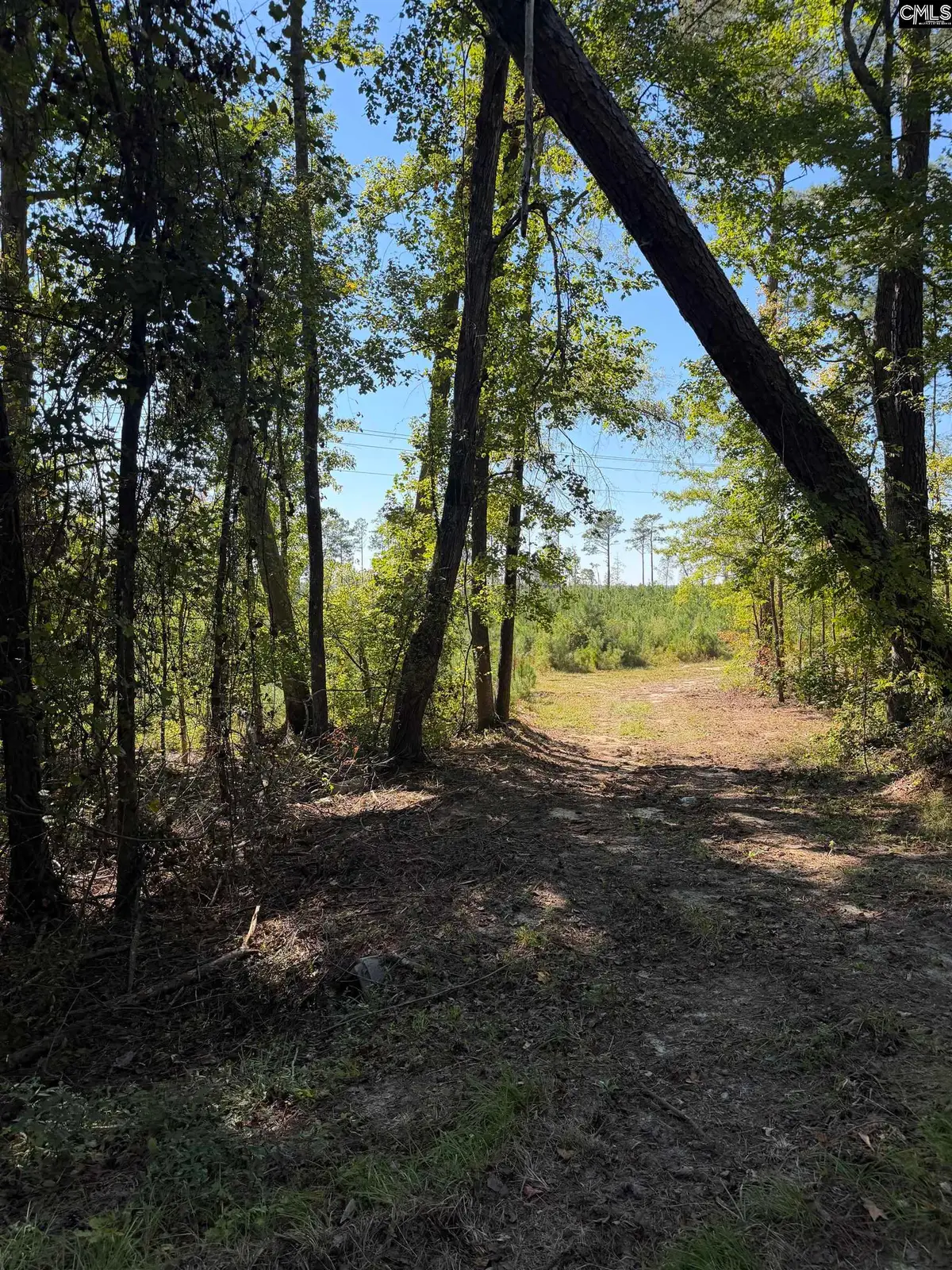 681 Tract 1 Barfield Road, Elgin, SC 29045 - #1