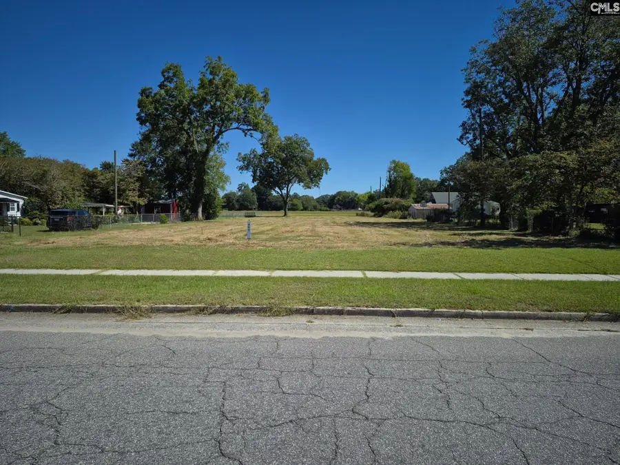 222 Main Street, Leesville, SC 29070 - #2