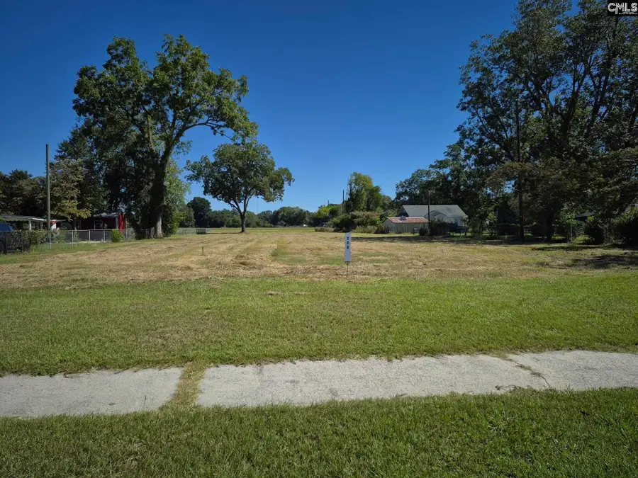 222 Main Street, Leesville, SC 29070 - #3