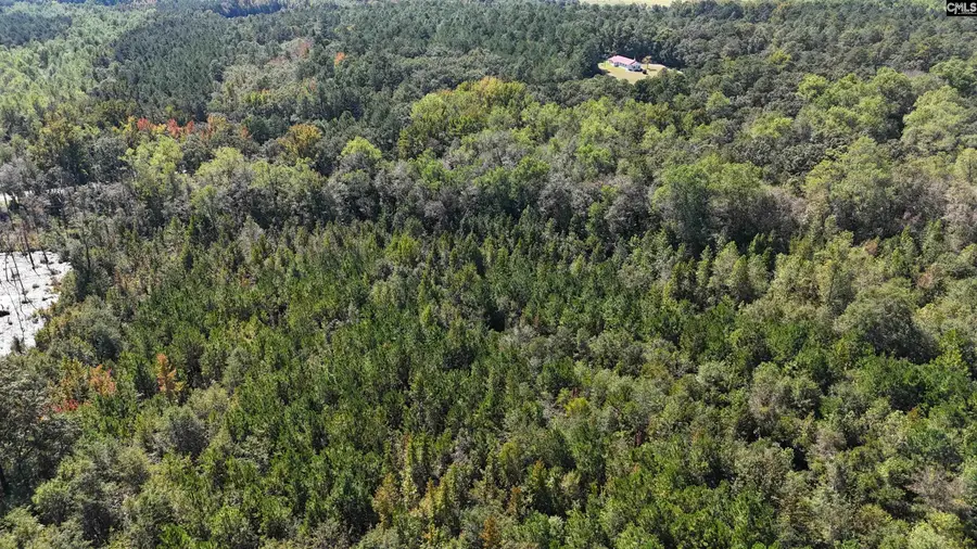 1754 Brewer Springs Road, Camden, SC 29020 - #3