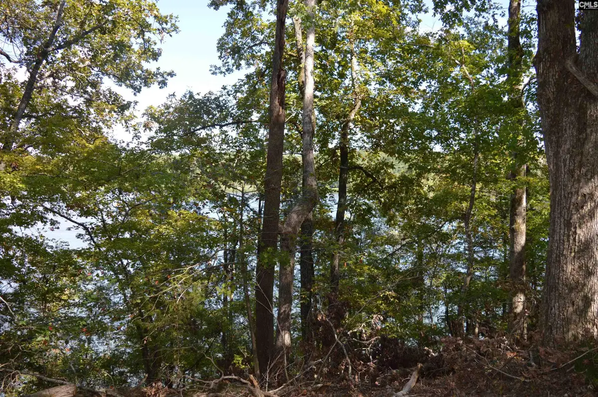 lot 25 Wateree Key Court, Winnsboro, SC 29180 - #1