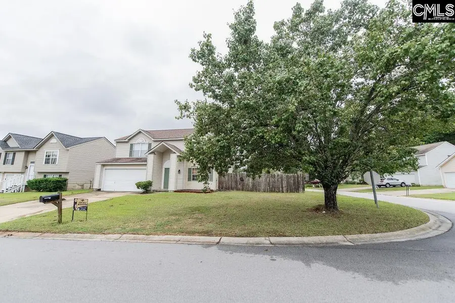 124 Stoney Point Drive, Chapin, SC 29036 - #2