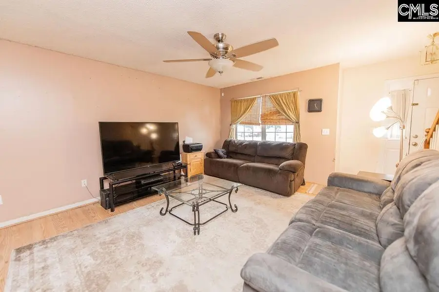 124 Stoney Point Drive, Chapin, SC 29036 - #3