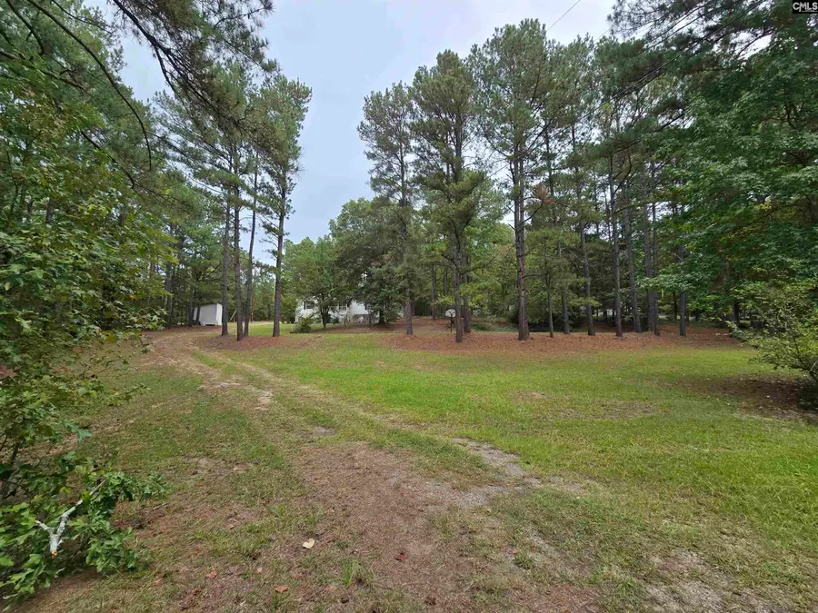 369 Four Oaks Road, Little Mountain, SC 29075 - #3