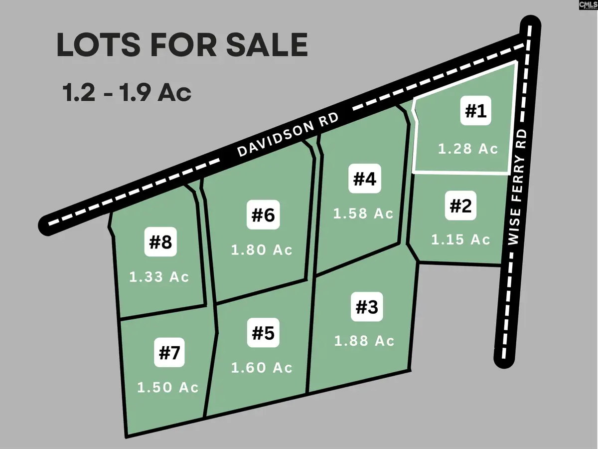 01 Davidson Road, Lexington, SC 29072 - #1