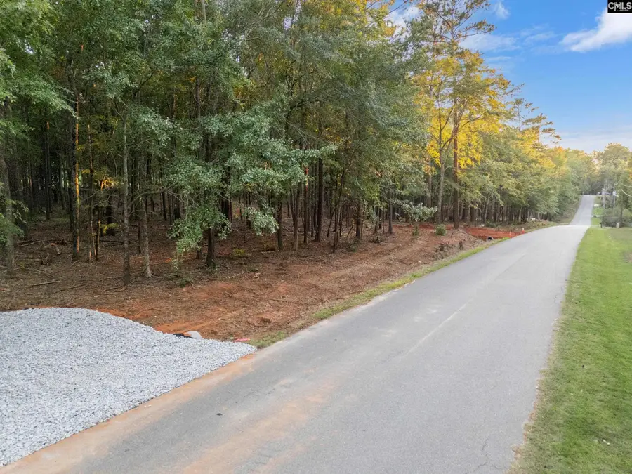 01 Davidson Road, Lexington, SC 29072 - #2