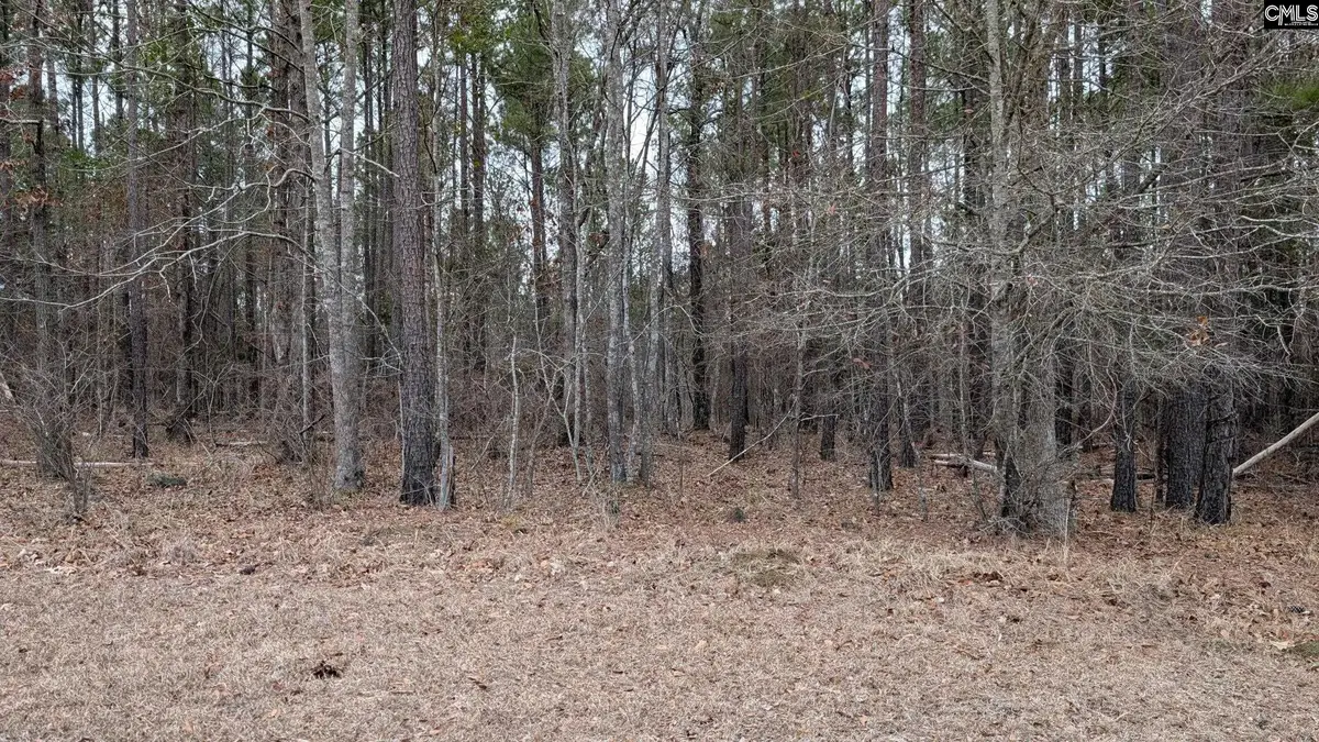 Lot 3 Retreat Way, Ridgeway, SC 29130 - #1