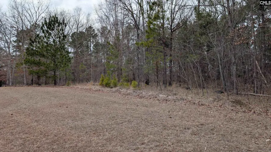 Lot 3 Retreat Way, Ridgeway, SC 29130 - #2