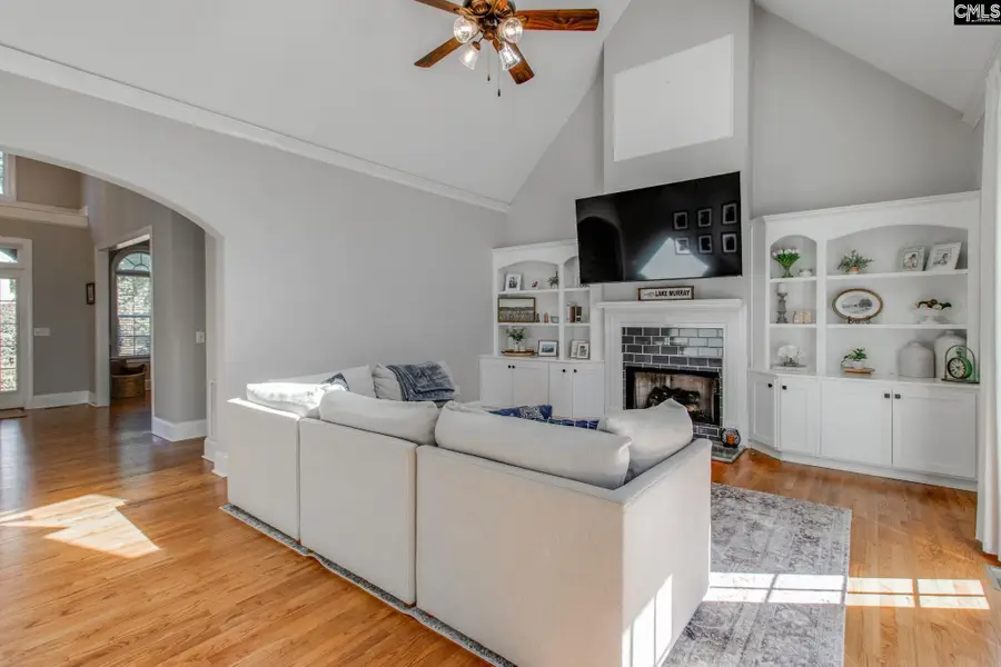 437 Caro Lane, Chapin, SC 29036 - #3