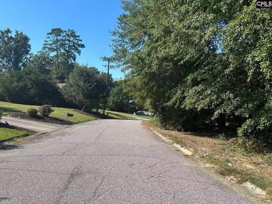 300 Harrow Drive, Columbia, SC 29210 - #3
