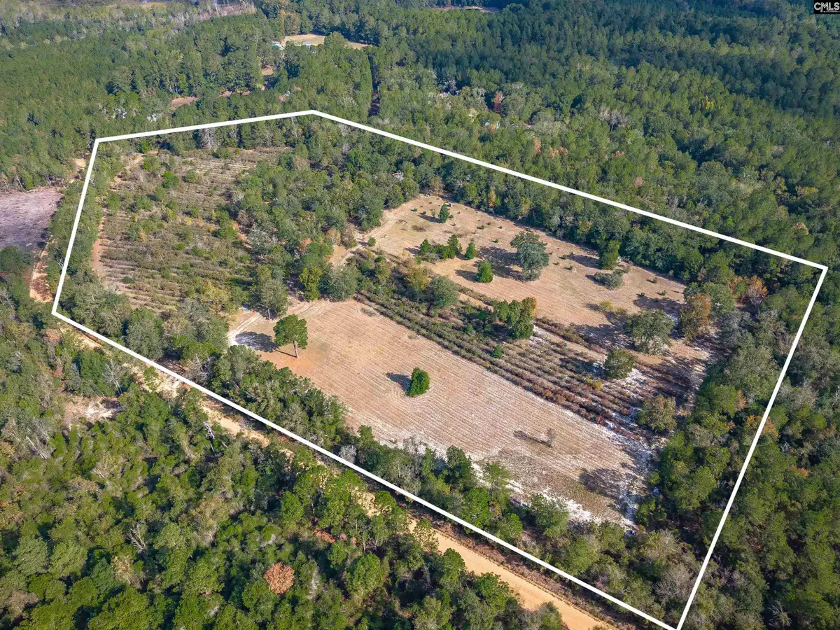 230 Mountain View Road, Batesburg, SC 29006 - #1