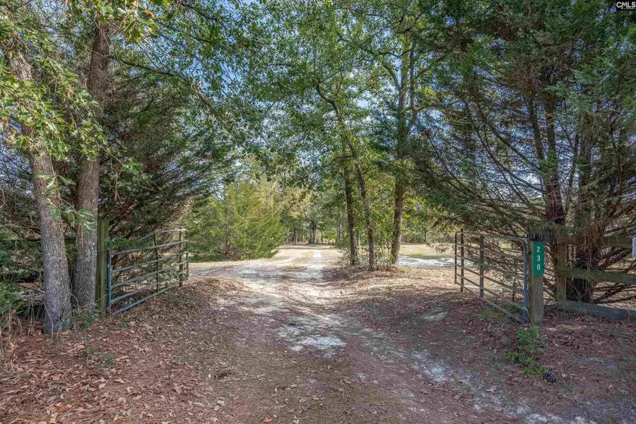 230 Mountain View Road, Batesburg, SC 29006 - #2