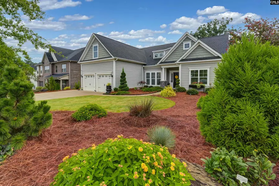 2322 Harvestwood Lane, Chapin, SC 29036 - #3