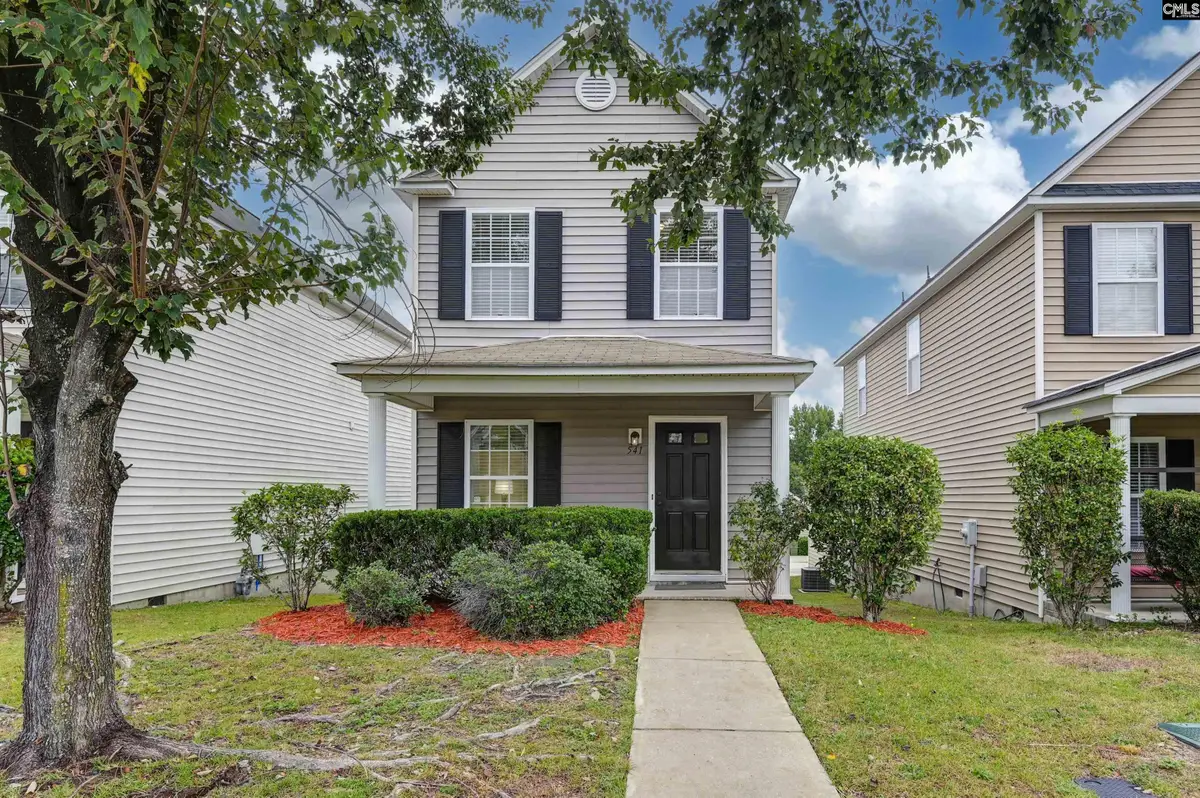 541 Scarlet Sage Lane, Columbia, SC 29223 - #1