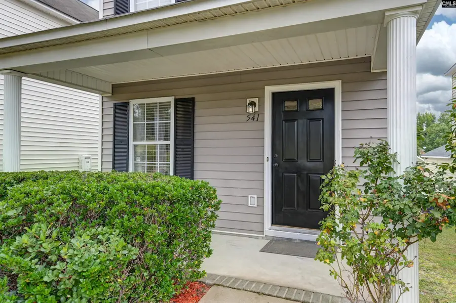 541 Scarlet Sage Lane, Columbia, SC 29223 - #3