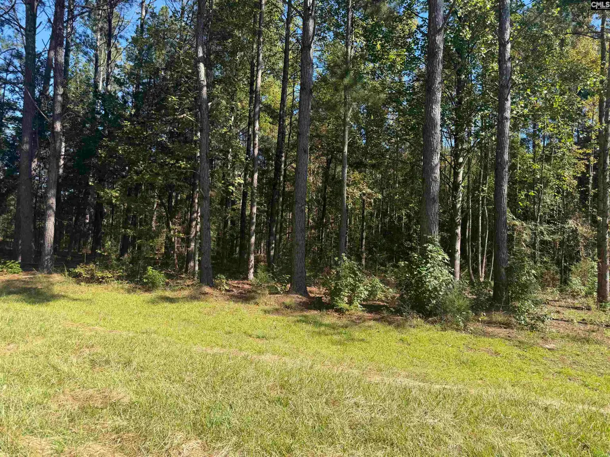 2274 Crowder Road, Kinards, SC 29460 - #1