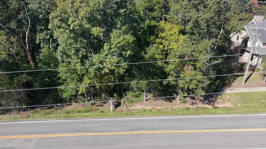 509 Lexington Avenue, Chapin, SC 29036 - #2