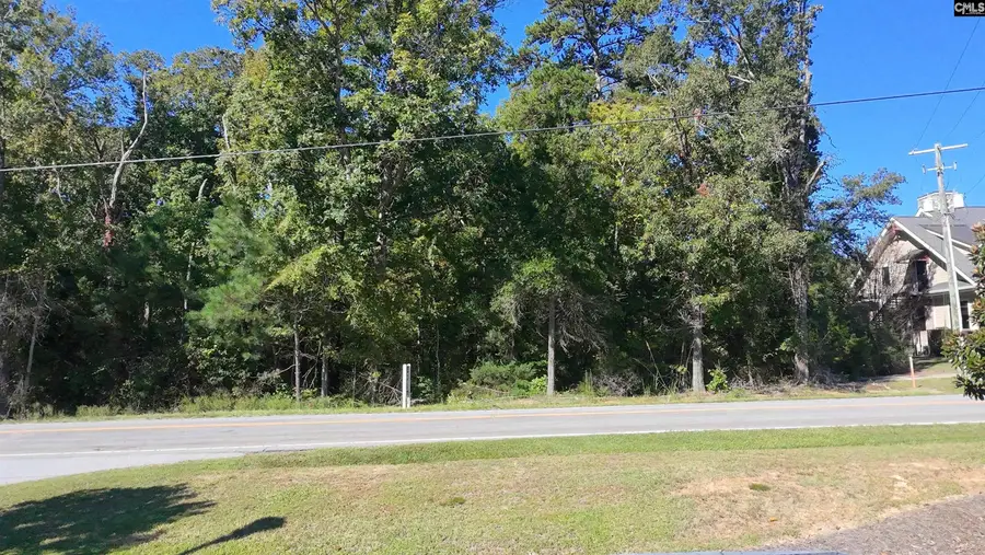 509 Lexington Avenue, Chapin, SC 29036 - #3
