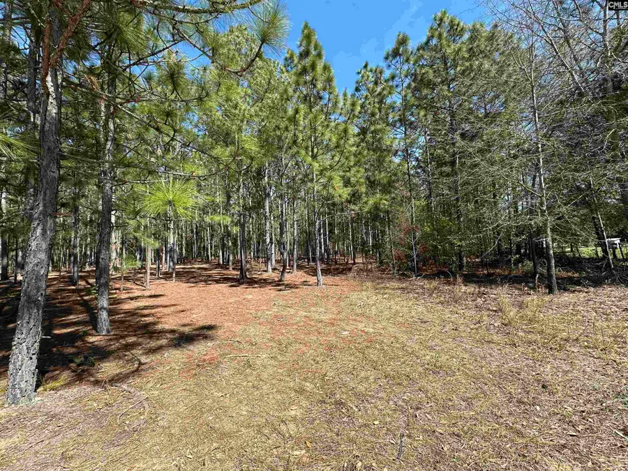 223 Mimosa Drive, Gaston, SC 29053 - #2