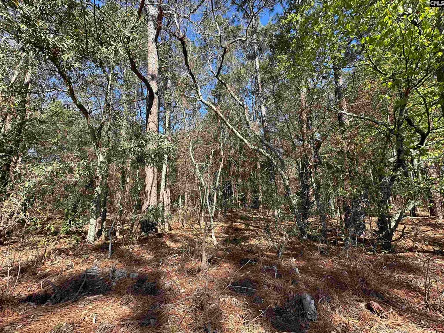 Lot 5 Mimosa Drive, Gaston, SC 29053 - #2