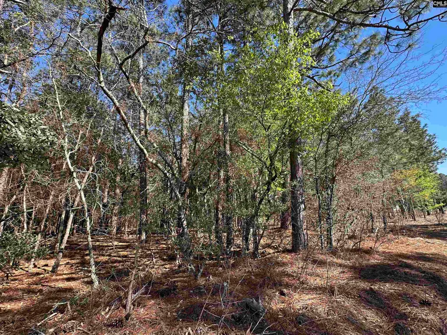 Lot 5 Mimosa Drive, Gaston, SC 29053 - #3