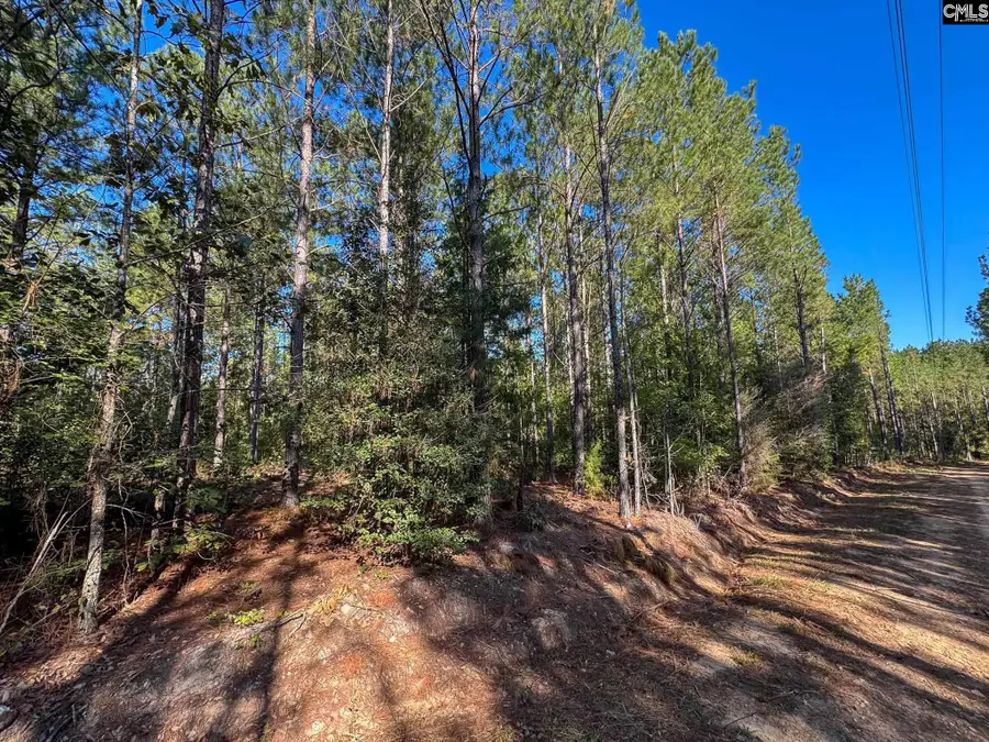 0 Lila Drive, Batesburg, SC 29006 - #2