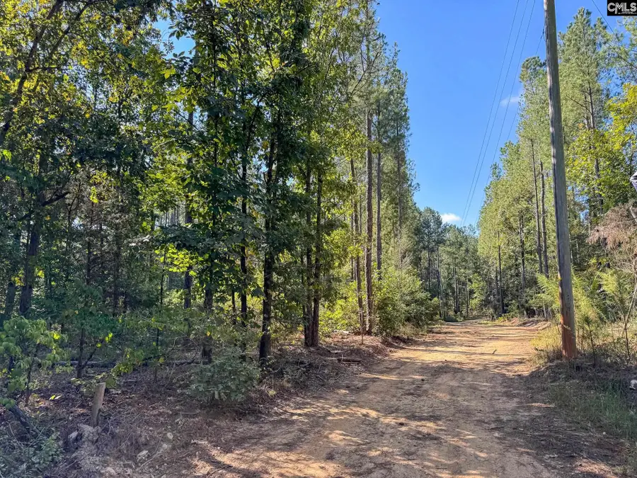 0 Lila Drive, Batesburg, SC 29006 - #3