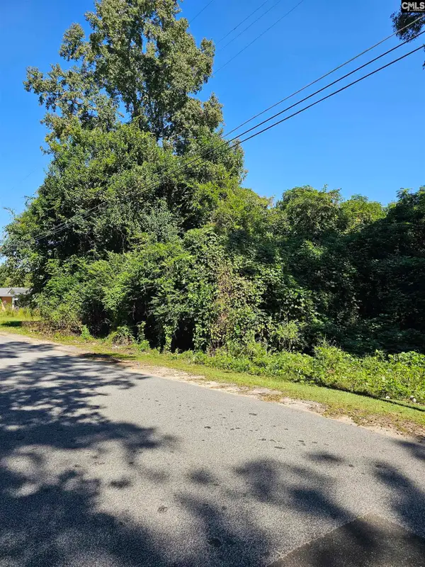 14 Collins Street, Manning, SC 29102