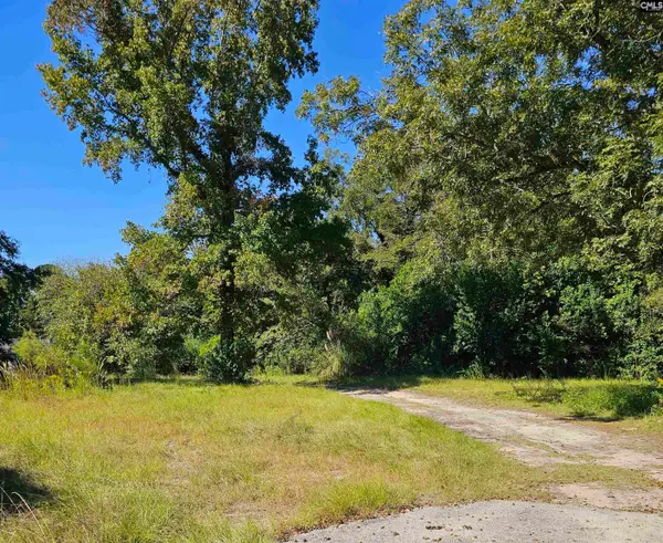 15 Collins Street, Manning, SC 29102