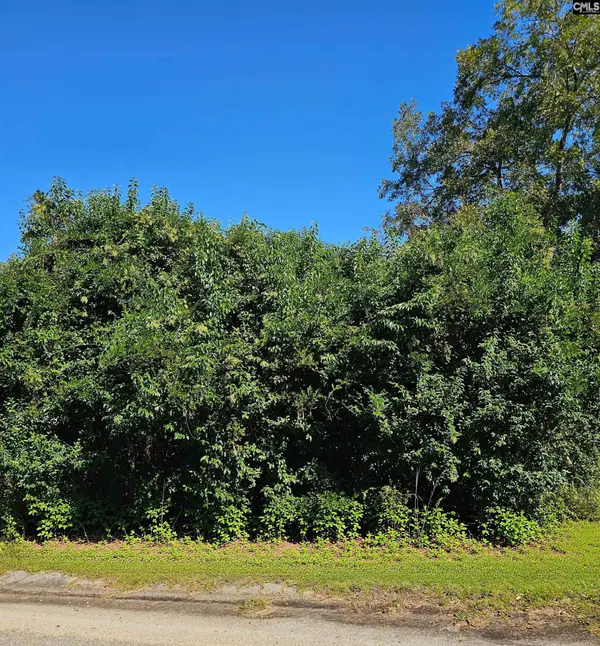204 Harvin Avenue, Manning, SC 29102