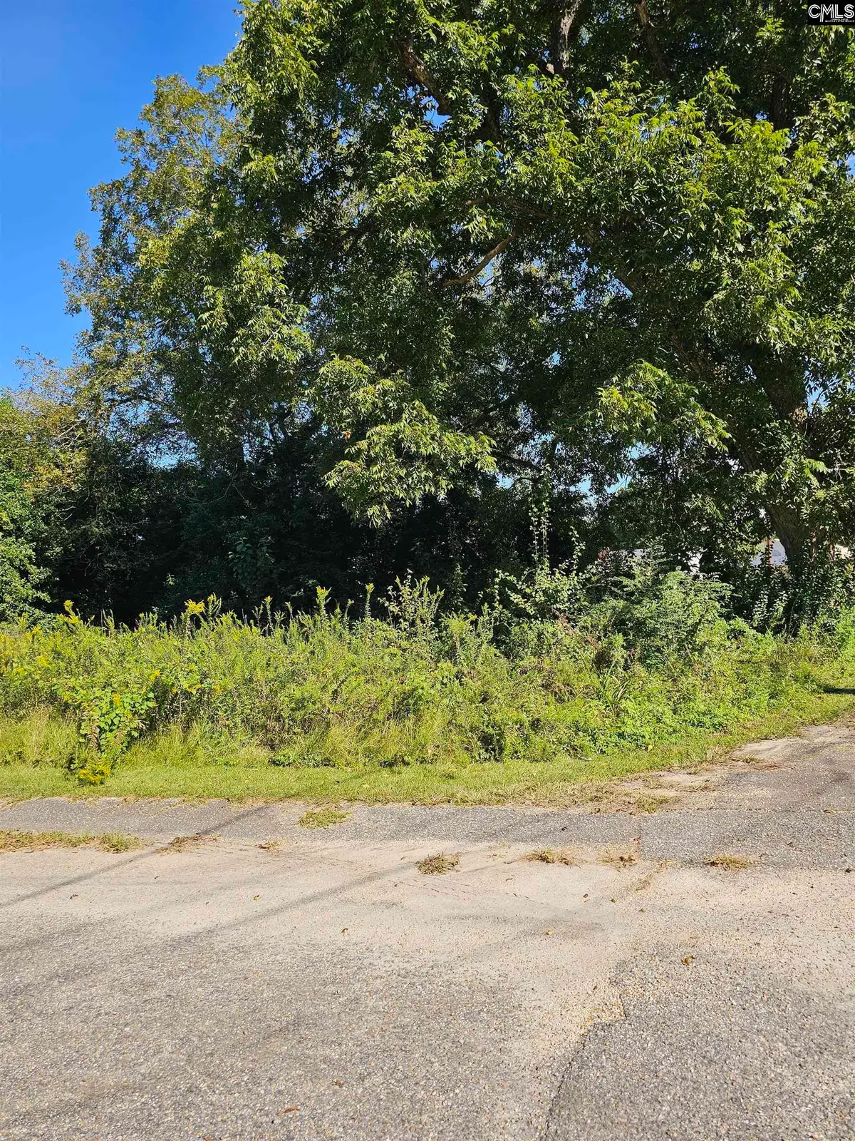 202 Harvin Avenue, Manning, SC 29102 - #1
