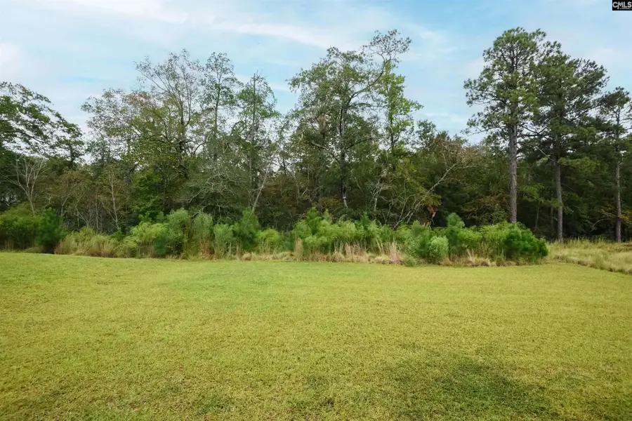 410 Pepperbush Lane, Lexington, SC 29072 - #3