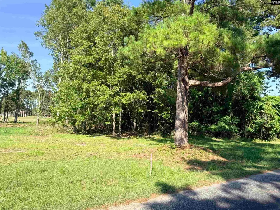 72 Ridge Lake, Manning, SC 29102 - #2