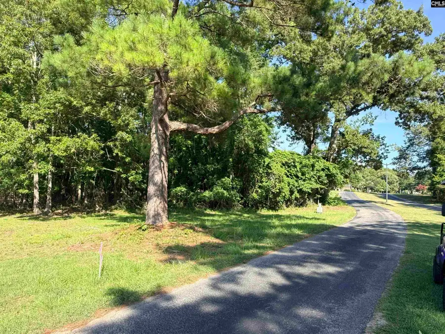 72 Ridge Lake, Manning, SC 29102 - #3